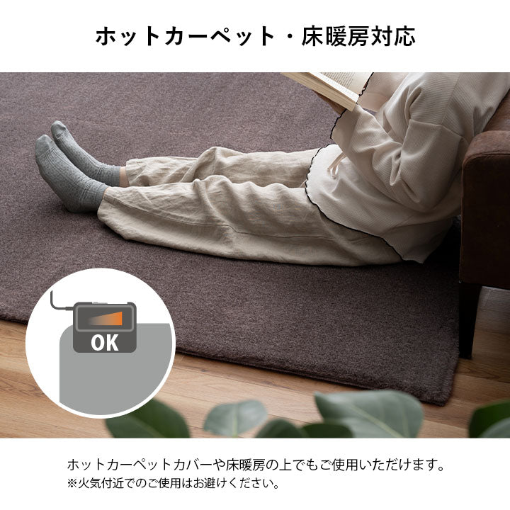 ラグ おしゃれ 長方形 小さい ふわふわ 冬 フェイクファー 無地 洗えるホットカーペット・床暖房対応ラグ 5サイズ