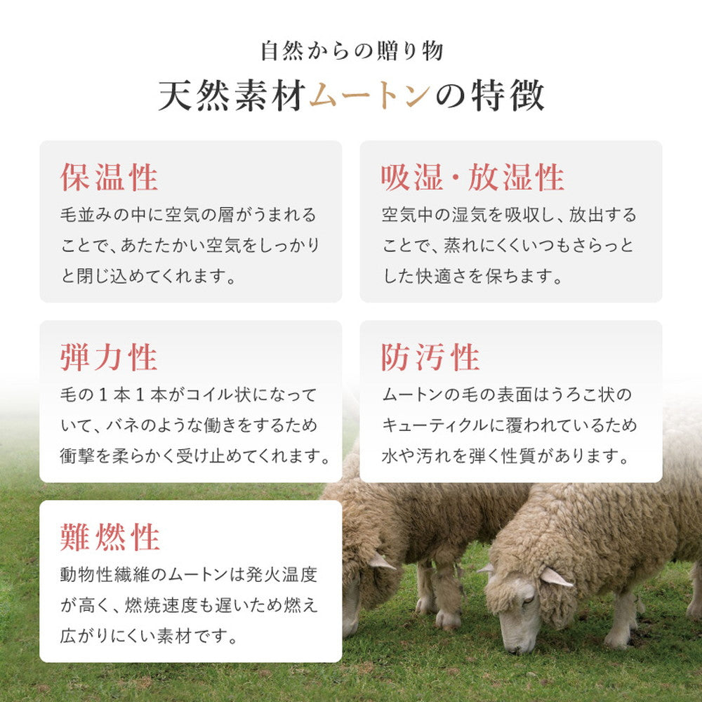 天然ムートンのおしゃれな天然ムートンローズシートクッション 約40×40cm