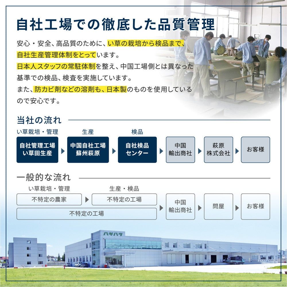 収納簡単!はっ水加工付き 和モダンテイストのい草ラグ キハチ 120×180cm 180×180cm 180×240cm 240×240cm 240×320cm