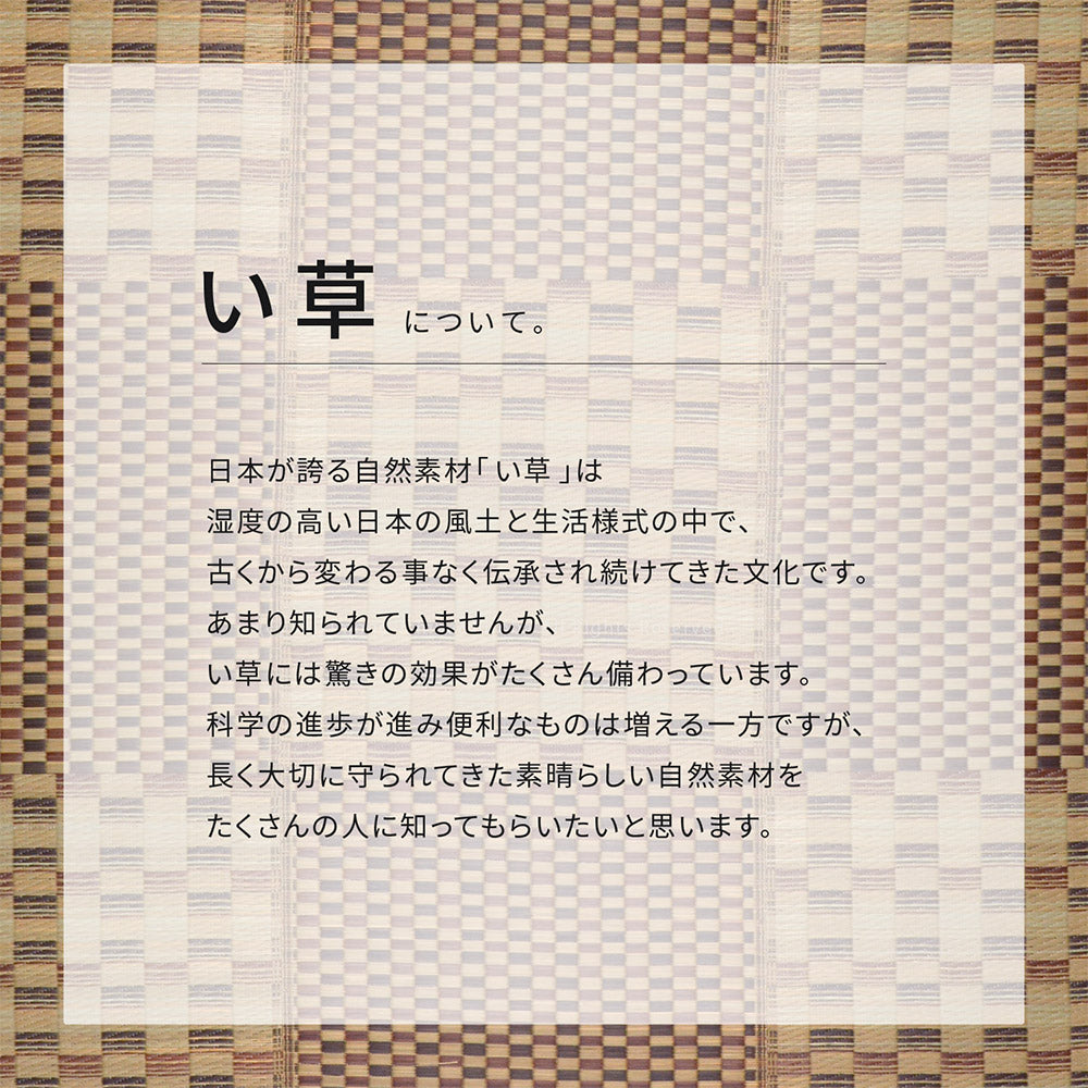 収納簡単!はっ水加工付き 和モダンテイストのい草ラグ キハチ 120×180cm 180×180cm 180×240cm 240×240cm 240×320cm