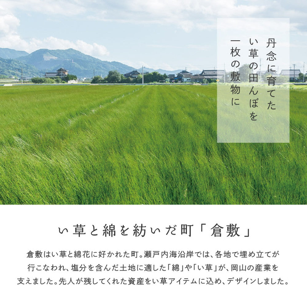 上質な国産い草のみを使用した抗カビ・消臭い草ラグ