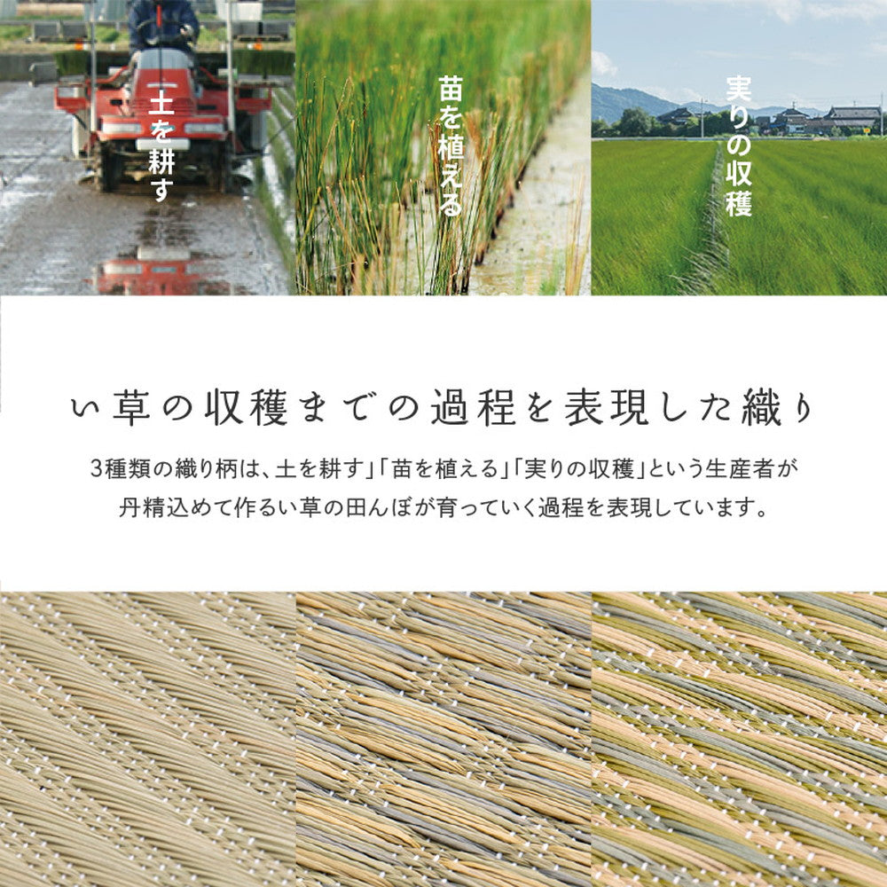 上質な国産い草のみを使用した抗カビ・消臭い草ラグ