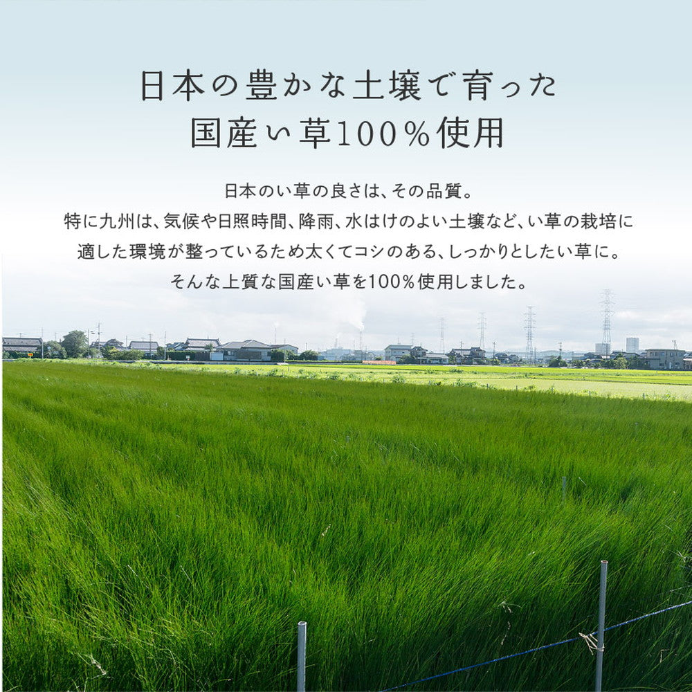 上質な国産い草のみを使用した抗カビ・消臭い草ラグ