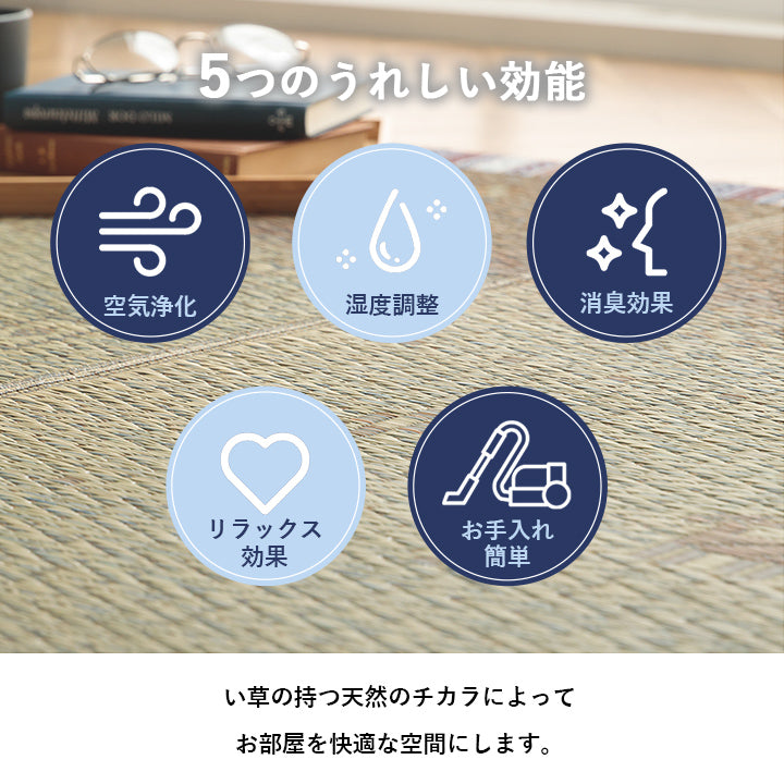 夏涼しい!さわやかなカラーリングとグラデーションが涼しげないギャベ柄草ラグ カーペット「NSリンク」 120×180cm 180×180cm 180×240cm