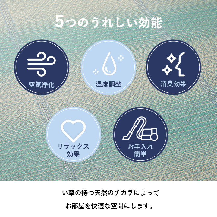 夏涼しい!さわやかなカラーリングとグラデーションが涼しげない草ラグ カーペット「NSナセル」 120×180cm 180×180cm 180×240cm