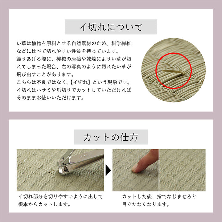 涼しげなカラーリングがお部屋を明るくしてくれるい草ラグ 120×180cm 180×180cm 180×240cm