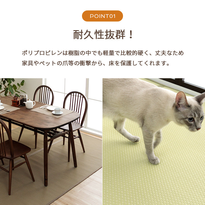 両面使用できるリバーシブル仕様!カジュアルモダンに夏をくつろぐ 純国産 い草ござ風お手入れ簡単洗えるカーペット ミーサ
