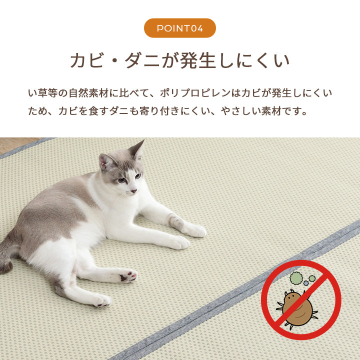両面使用できるリバーシブル仕様!カジュアルモダンに夏をくつろぐ 純国産 い草ござ風お手入れ簡単洗えるカーペット ミーサ