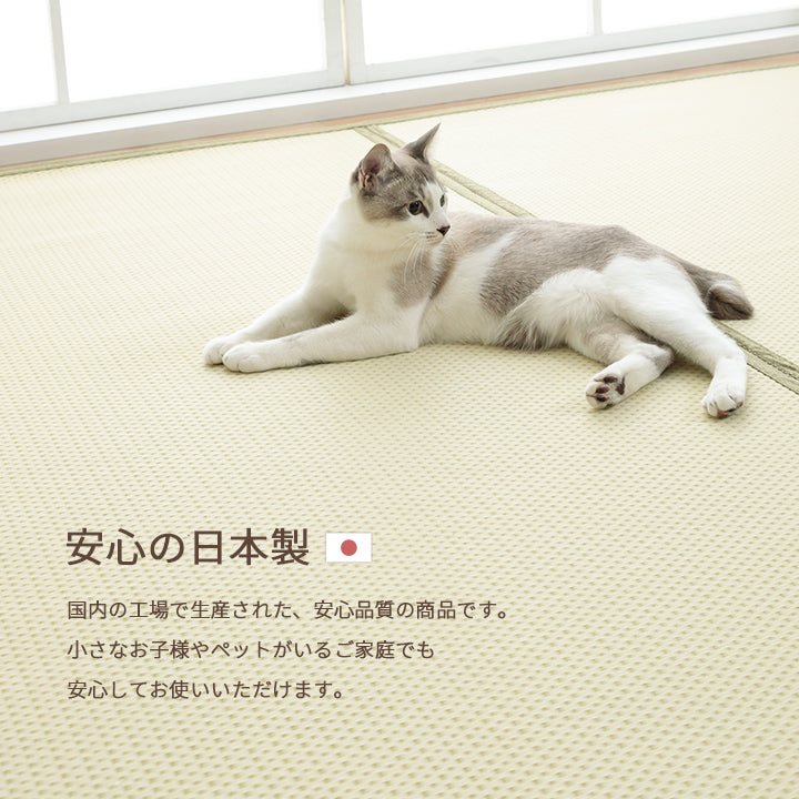 両面使用できるリバーシブル仕様!カジュアルモダンに夏をくつろぐ 純国産 い草ござ風お手入れ簡単洗えるカーペット ミーサ