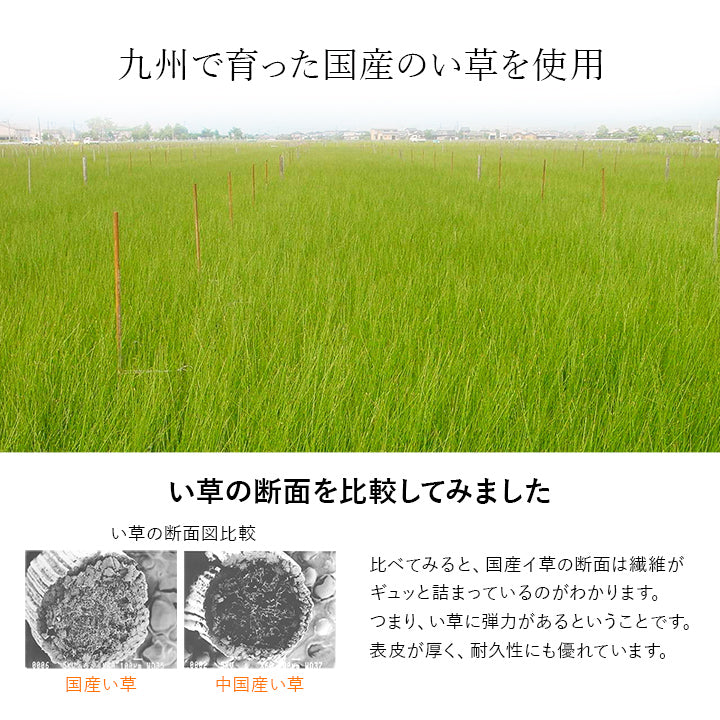 汗を吸収してサラリと過ごせる快眠い草シーツ 日本製 いやし
