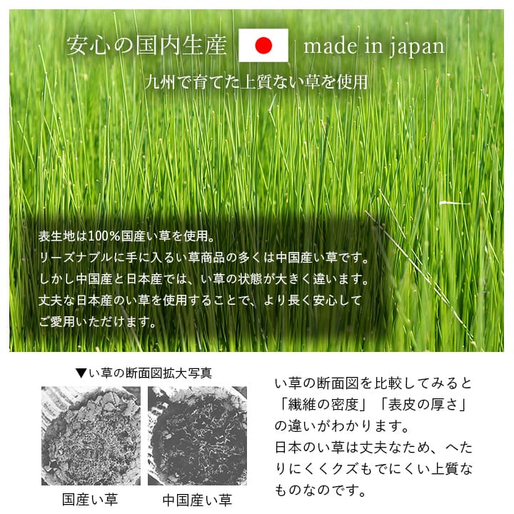大切な方へのプレゼントに最適なシンプルない草ごろ寝マット+平枕 日本製 すずか