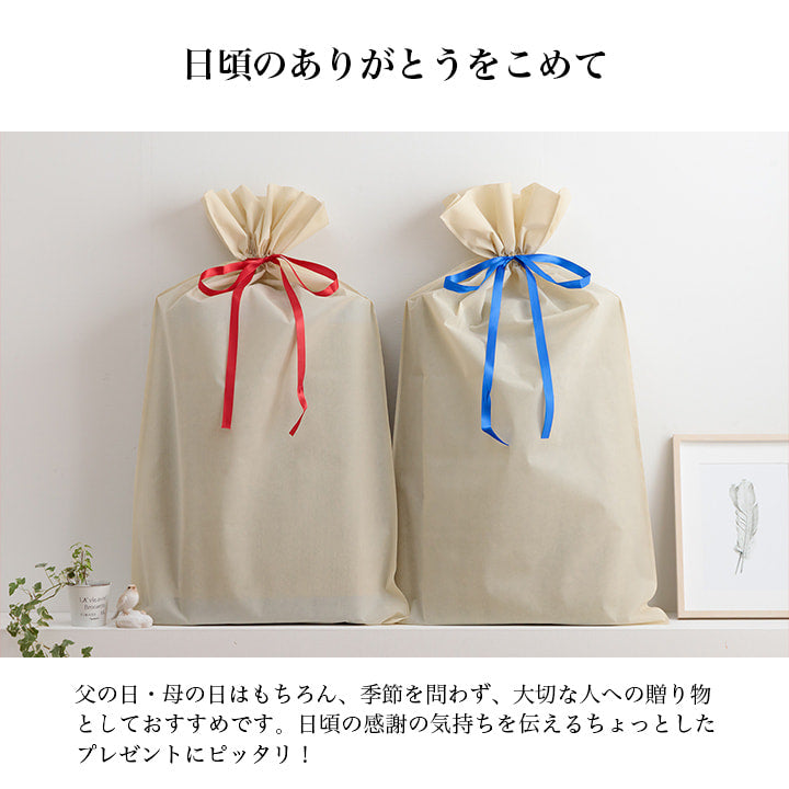 大切な方へのプレゼントに最適なシンプルない草ごろ寝マット+平枕 日本製 すずか