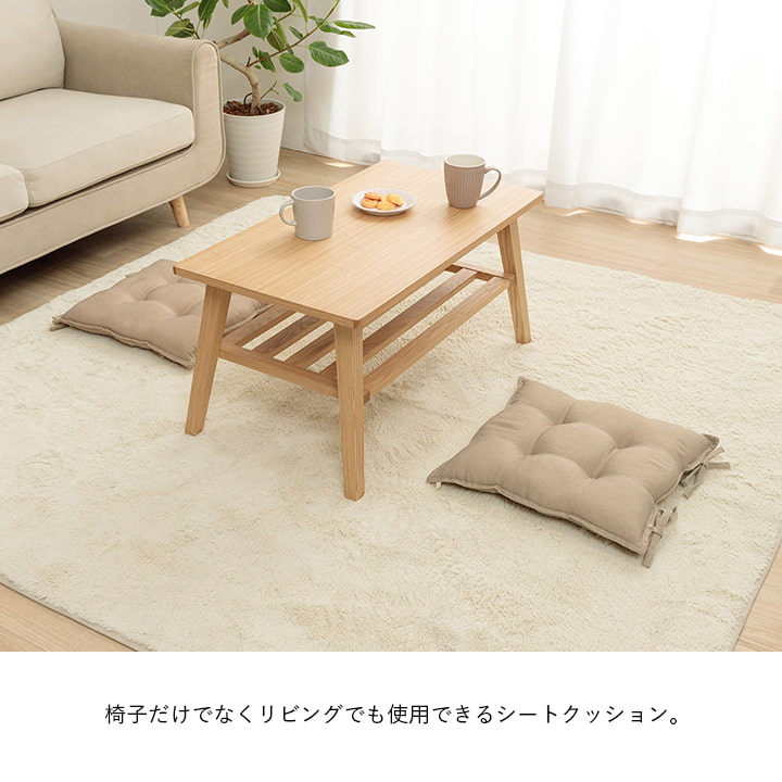 椅子やリビングでも使用できる洗えるシートクッション(同色2枚組)43×43cm