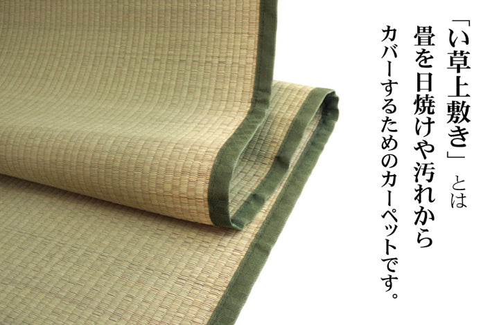 九州産い草使用のい草上敷きカーペット双目織 草津(くさつ) 対応サイズ:江戸間・本間