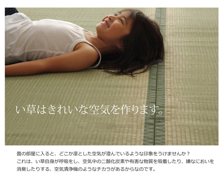 九州産い草使用のい草上敷きカーペット双目織 草津(くさつ) 対応サイズ:江戸間・本間