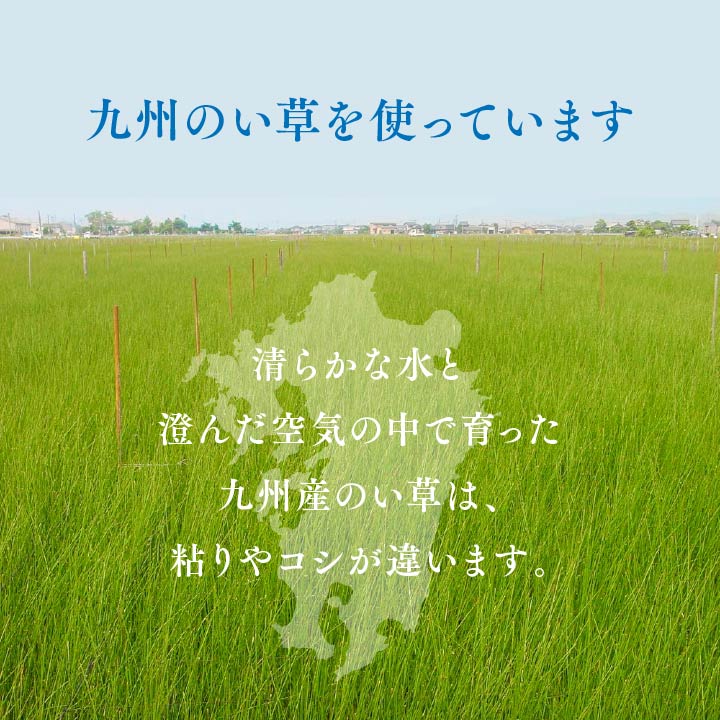 九州産い草使用の汚れに強くお手入れカンタン 双目織 い草上敷きカーペット 対応サイズ:江戸間・本間・ 団地間・三六間・六一間