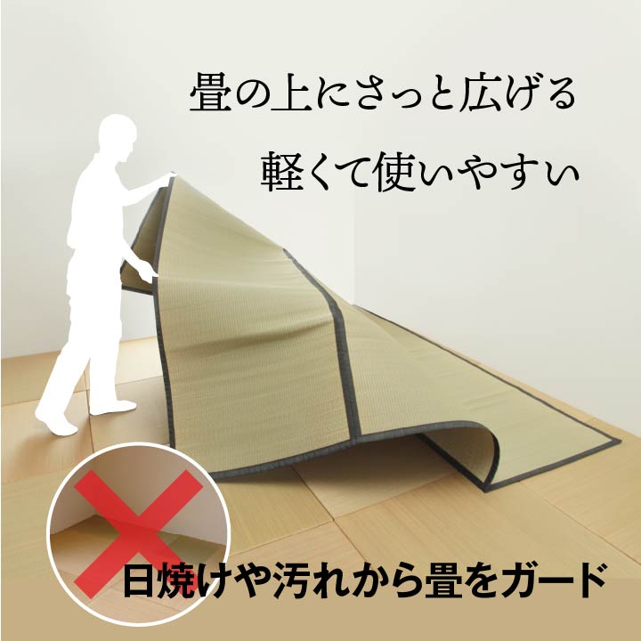九州産い草使用の汚れに強くお手入れカンタン 双目織 い草上敷きカーペット 対応サイズ:江戸間・本間・ 団地間・三六間・六一間