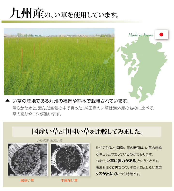 九州産い草使用のい草上敷きカーペット糸引織 湯沢(ゆざわ) 対応サイズ:江戸間・本間・三六間・六一間・団地間