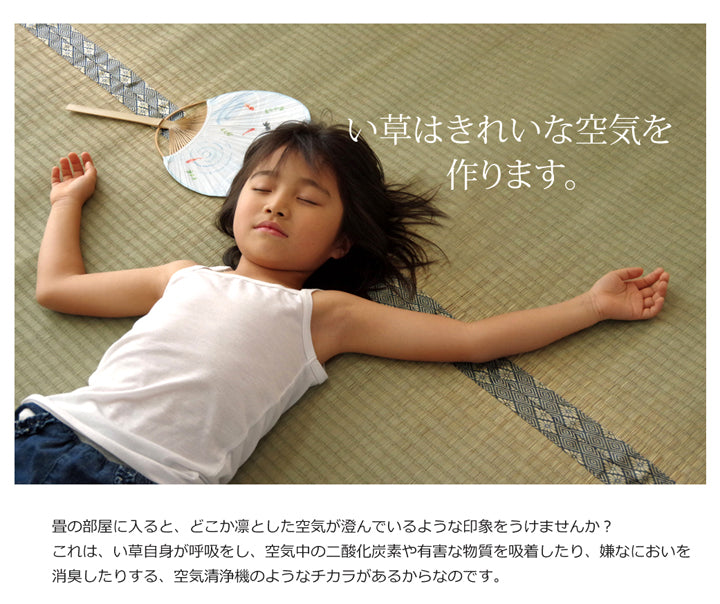 九州産い草使用のい草上敷きカーペット糸引織 湯沢(ゆざわ) 対応サイズ:江戸間・本間・三六間・六一間・団地間