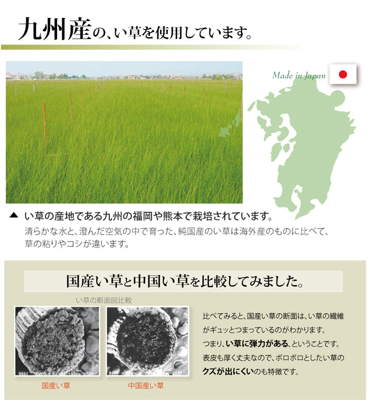 九州産い草使用のい草上敷きカーペット双目織 松(まつ) 対応サイズ:江戸間・本間・三六間・団地間・六一間