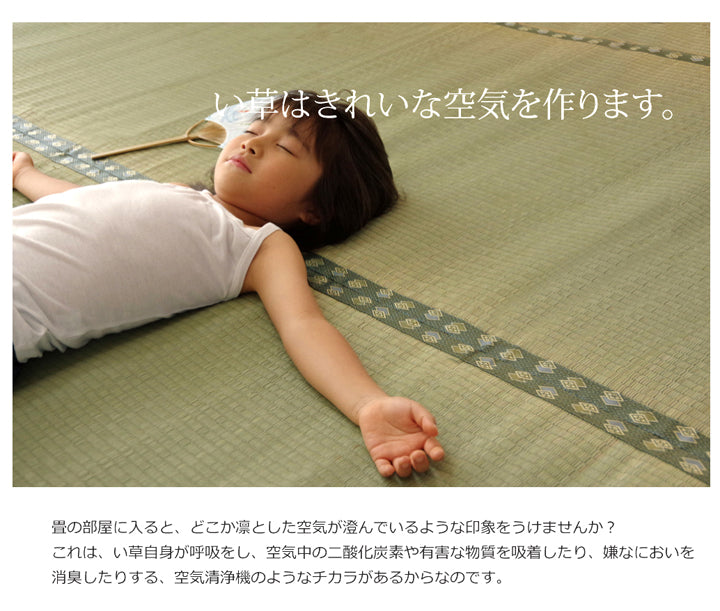 九州産い草使用のい草上敷きカーペット双目織 松(まつ) 対応サイズ:江戸間・本間・三六間・団地間・六一間