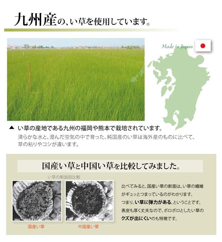 九州産い草使用のい草上敷きカーペット糸引織 柿田川(かきたがわ) 対応サイズ:江戸間・本間・三六間
