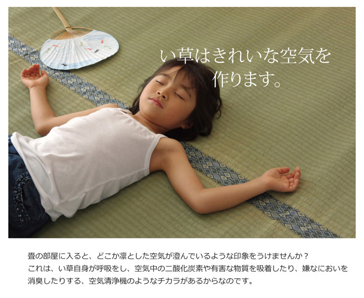 九州産い草使用のい草上敷きカーペット糸引織 柿田川(かきたがわ) 対応サイズ:江戸間・本間・三六間