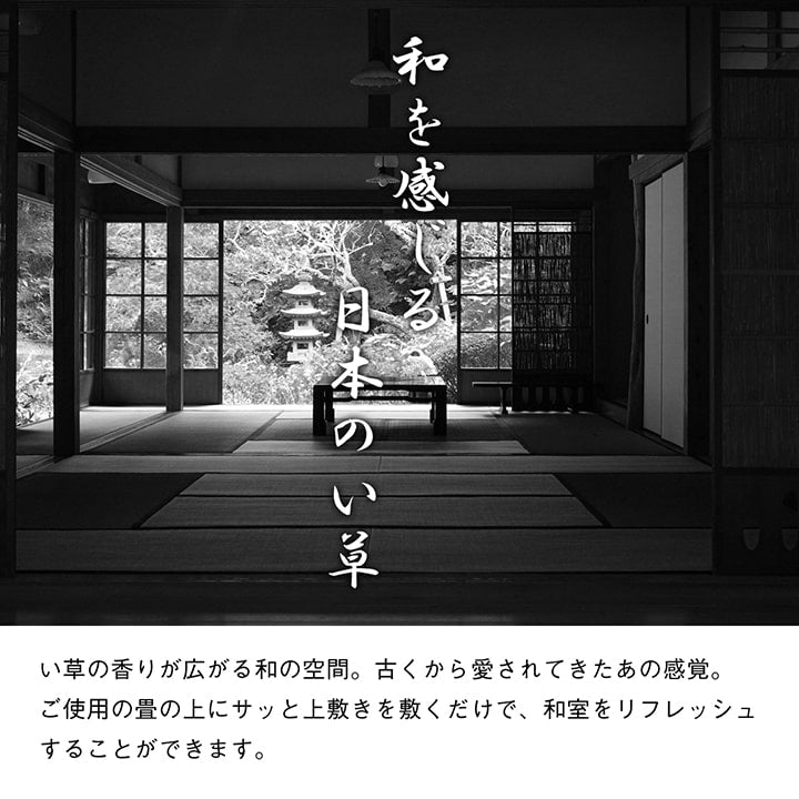 純国産い草使用のはっ水加工付き 双目織 い草上敷きカーペット 対応サイズ:江戸間・本間・ 三六間