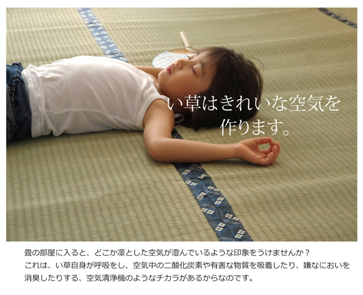九州産い草使用のい草上敷きカーペット糸引織 梅花(ばいか) 対応サイズ:江戸間・本間・六一間