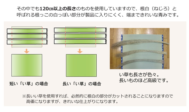 九州産い草使用のい草上敷きカーペット糸引織 梅花(ばいか) 対応サイズ:江戸間・本間・六一間