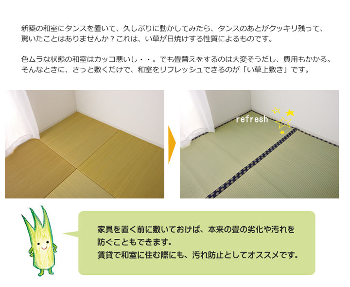 はっ水加工付きい草上敷きカーペット 湖水(こすい)