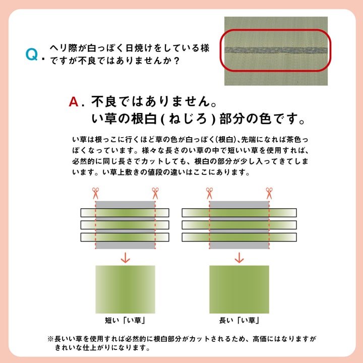 小林製薬のKOBA-GUARDを使用した制菌・抗菌・防臭・消臭機能付き い草上敷きカーペット