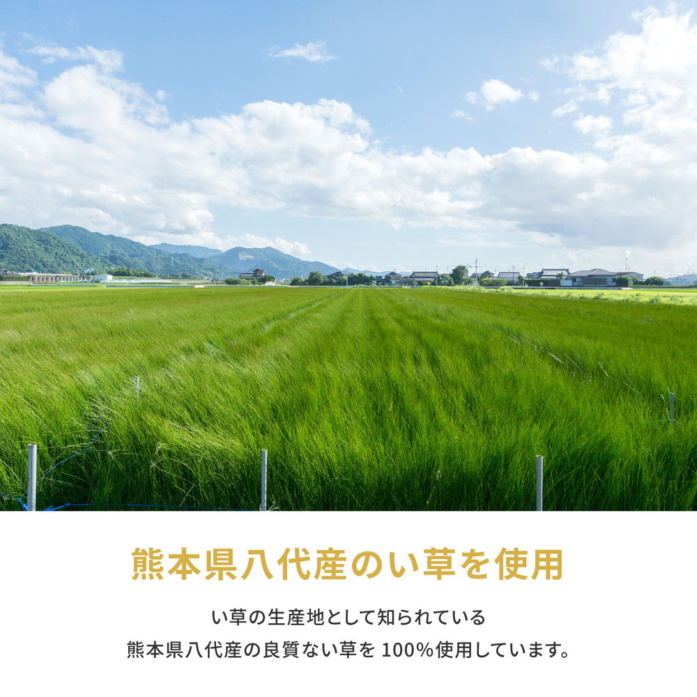 抗カビ・消臭高品質な国産のい草と日本の職人の技術が織りなす引目織のい草上敷き 対応サイズ:三六間