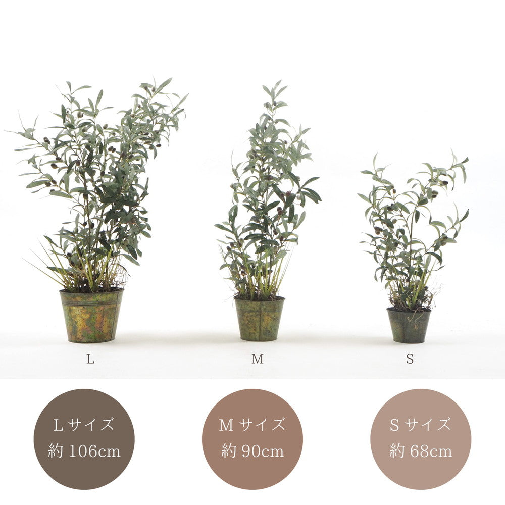 シャビーなバケツ入りでオシャレ度アップ♪バケツシリーズ!オシャレで枯れない人工観葉植物 オリーブツリーグラスバケット