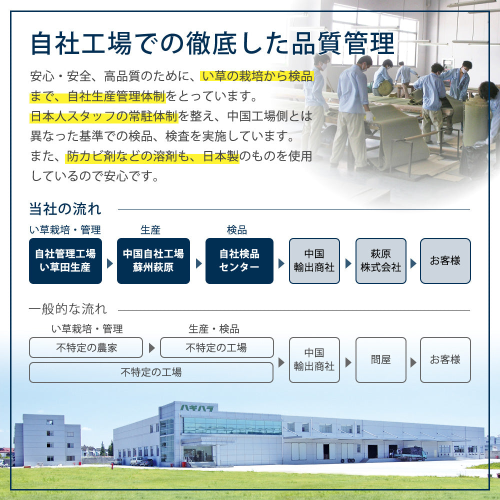 6色展開のカラフル置き畳!洋室・和室を問わず使えるカラフルで可愛い縁なしの置き畳 綾川