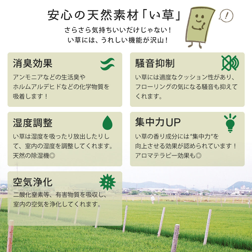 6色展開のカラフル置き畳!洋室・和室を問わず使えるカラフルで可愛い縁なしの置き畳 綾川
