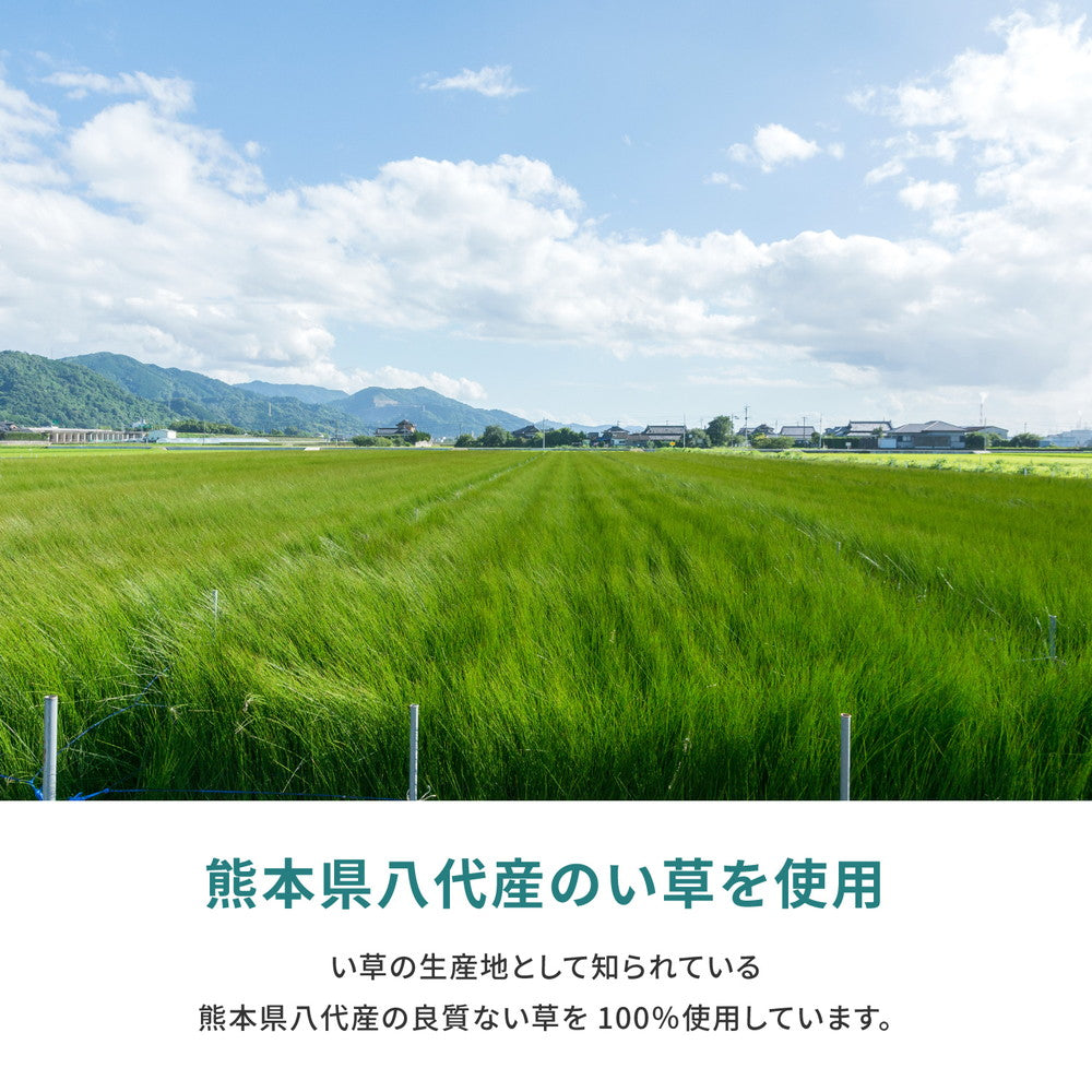 抗カビ・消臭効果のある高品質な国産のい草と日本の職人の技術が織りなす双目織のい草上敷き 天草(あまくさ) 対応サイズ:36間