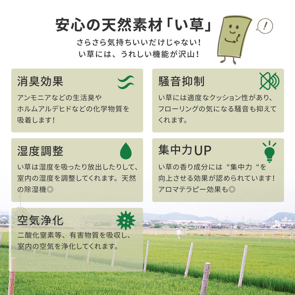 抗カビ・消臭効果のある高品質な国産のい草と日本の職人の技術が織りなす双目織のい草上敷き 天草(あまくさ) 対応サイズ:36間
