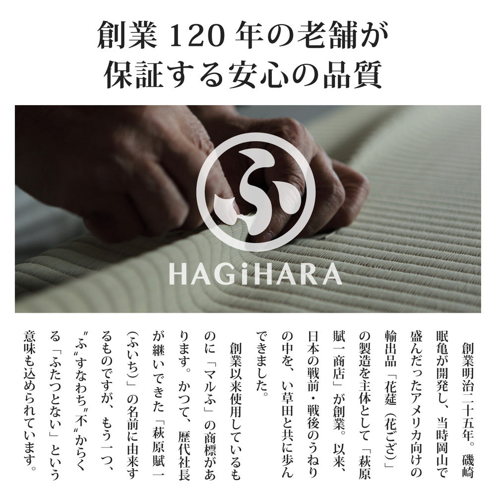 シンプルでありながら存在感のある配色でポップでかわいいカラフル置き畳 シャイン