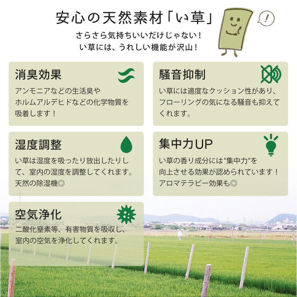 シンプルでありながら存在感のある配色でポップでかわいいカラフル置き畳 シャイン