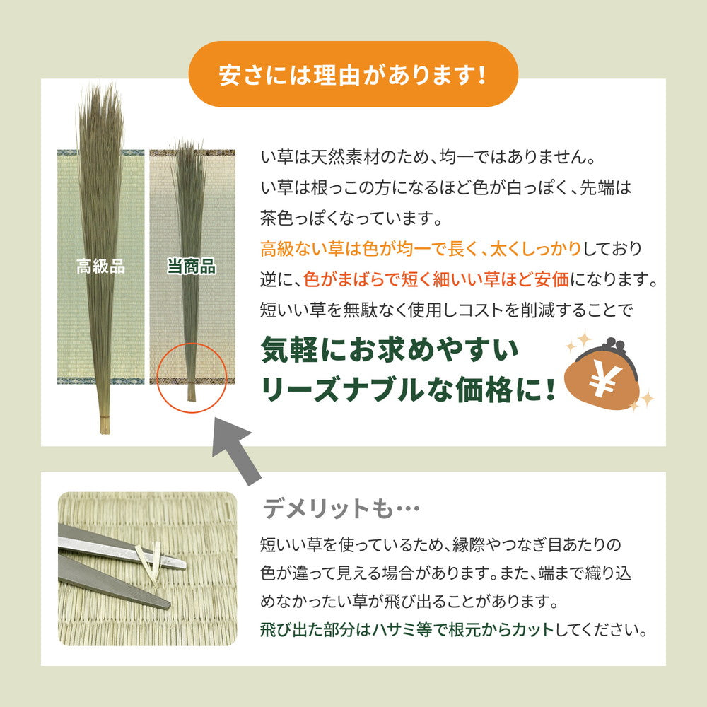 抗カビ・消臭効果のあるリーズナブルな双目織のい草上敷き 柳川(やながわ) 対応サイズ:団地間
