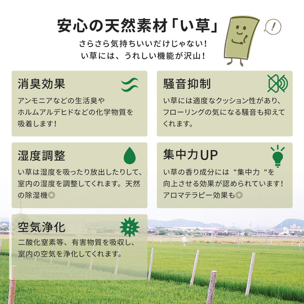 抗カビ・消臭効果のあるリーズナブルな双目織のい草上敷き 柳川(やながわ) 対応サイズ:団地間