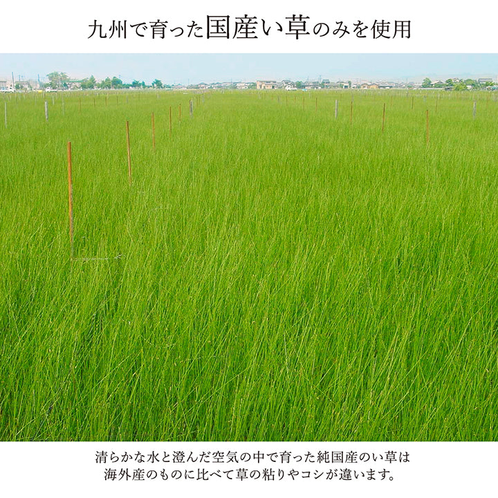 様々な織が楽しめるこだわりのパッチワーク風純国産い草ラグ カーペット 裏面:不織布タイプ