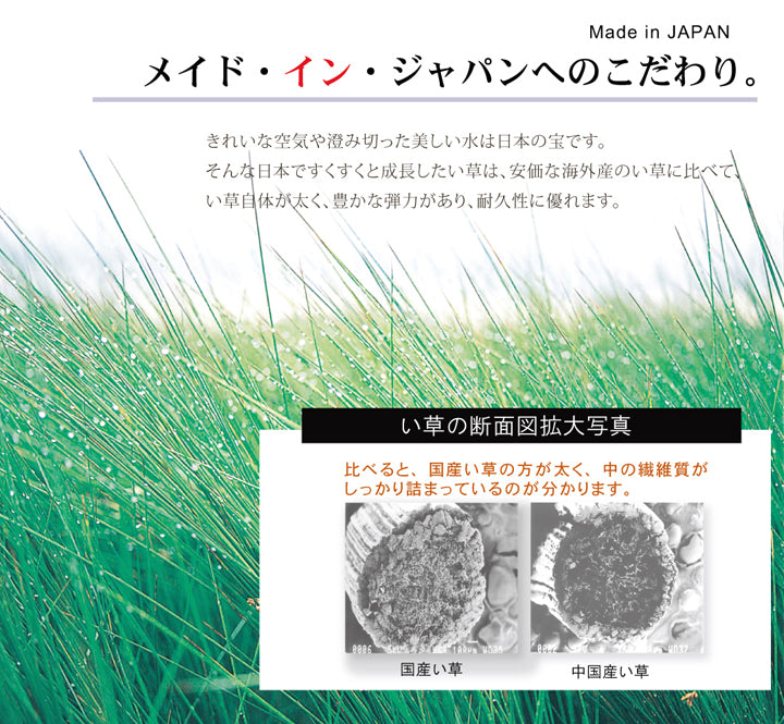 オリエンタル柄を表現し洋室でも和室でもご使用いただける純国産い草ラグカーペット オーディーン