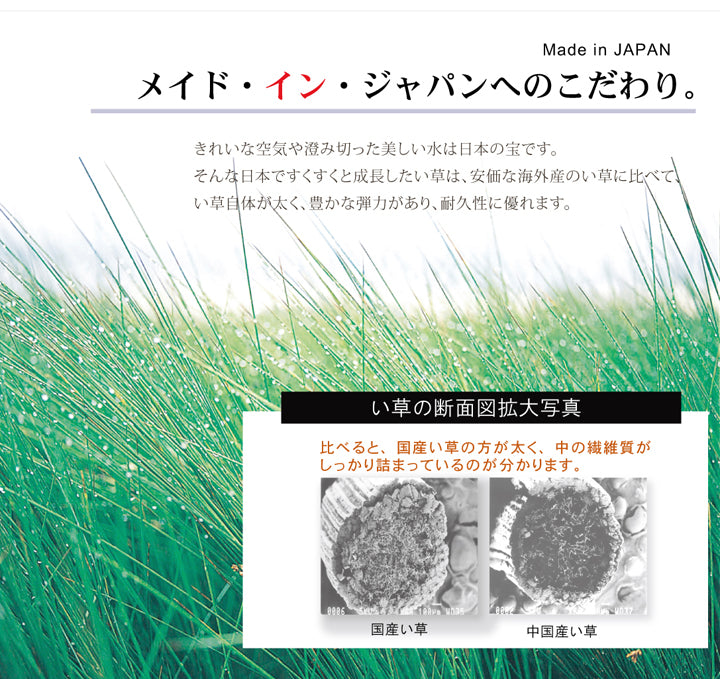オリエンタル柄を表現し洋室でも和室でもご使用いただける純国産い草ラグカーペット オーディーン 裏面:不織布タイプ