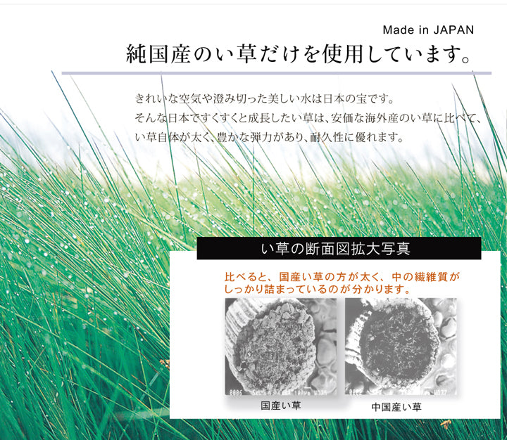 圧倒的な存在感の純国産い草ラグカーペット 虎