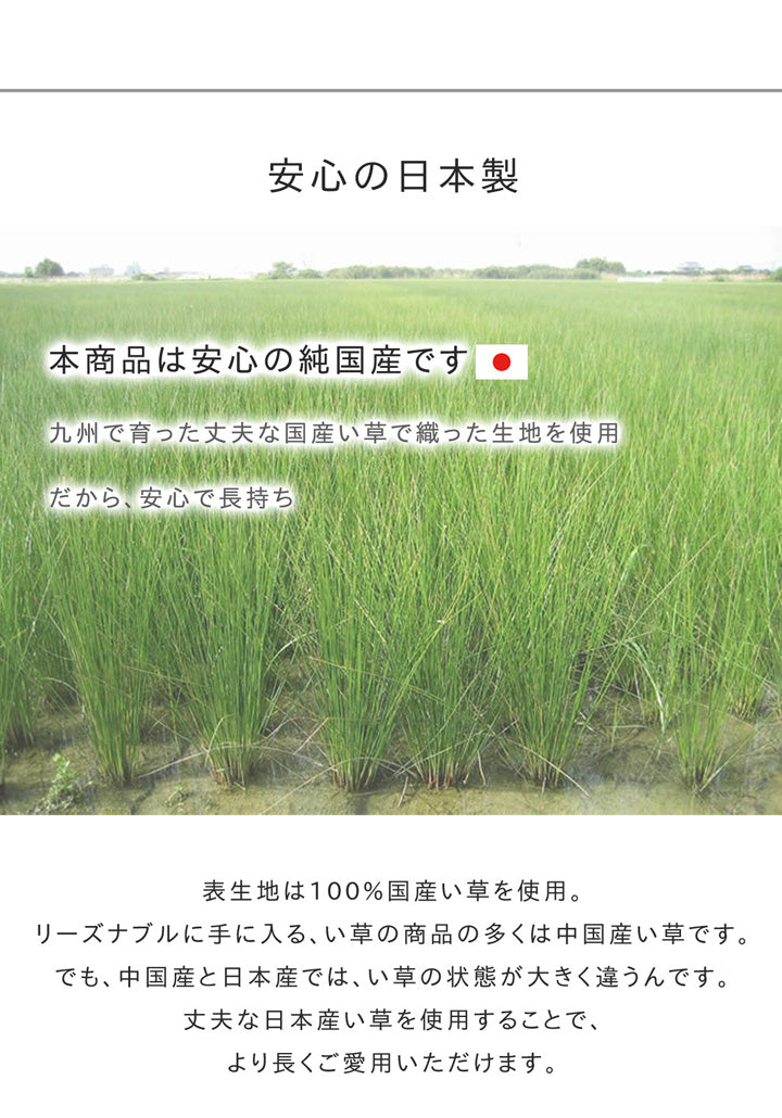 職人の手によって丁寧に織られた繊細かつ上質な仕上がりの純国産い草ラグカーペット 格子柄 Fキャロル
