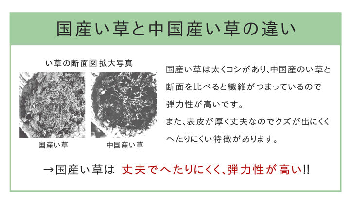 職人の手によって丁寧に織られた繊細かつ上質な仕上がりの純国産い草ラグカーペット 格子柄 Fキャロル