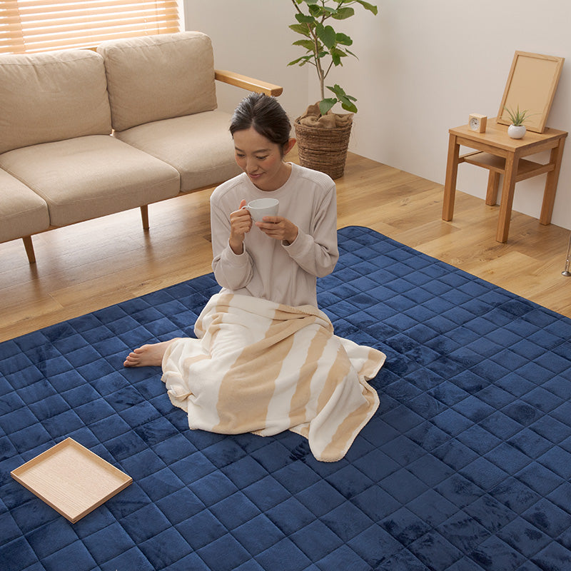 mofua しっとりなめらかな肌触りのプレミアムマイクロファイバーキルトラグ