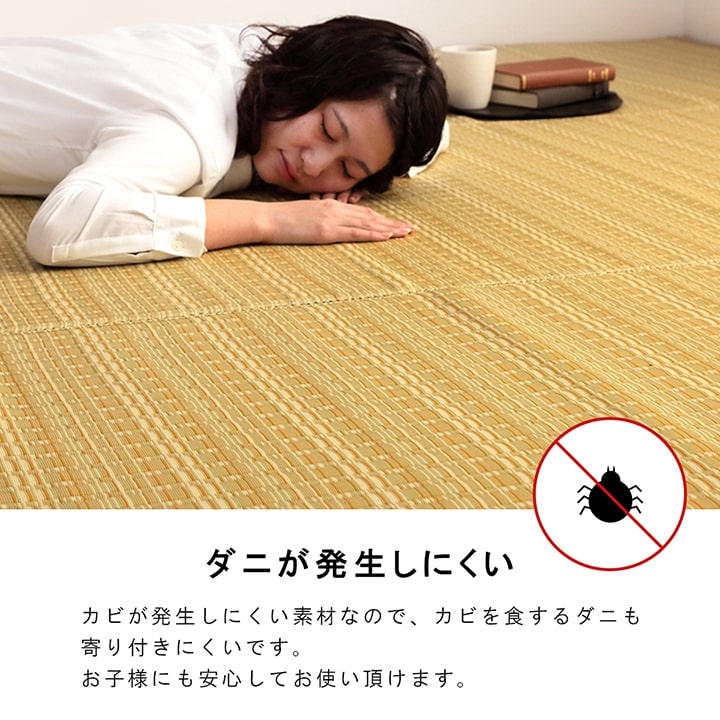 洗える カーペット ダイニング ラグ 敷詰 丈夫 日本製 国産 除菌スプレー対応 ござ アウトドア ペット